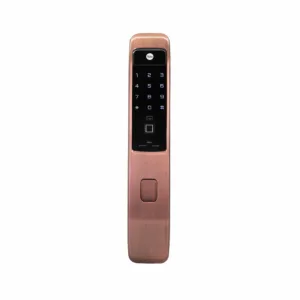 Push Pull Smart Lock, Red Bronze (Bluetooth Module and Wifi Bridge Included)