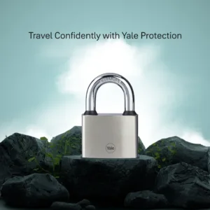 13 a1cd3c28 d42b 438c b2dc 6862cf822f62 1100x