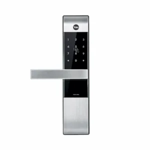 2000 x 2000 pixle 1 1100x