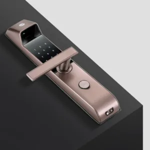 2 8ced9d02 e827 430c b6da ec54441c72a2 1100x