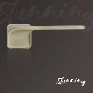 2copy 01297143 e830 4ed8 8888 b399d4e2b431 1100x