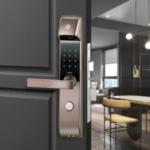 5 21b88d47 a027 42ae 8361 c5eeed0ee5d7 1100x