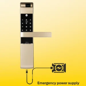 8 b37ebbe5 ca8c 488b b496 f79d71b1cb60 1100x