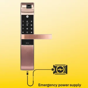 8 d52f1fb8 cbf9 4b57 b8c5 7fb5dfb8d9e0 1100x