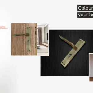 AmzoneA 2 4acfafd0 3286 422b a461 f540a5af1e4b