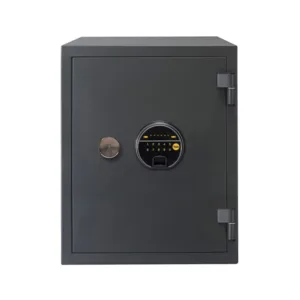 Biometric Safe Locker, 60 Min Fire Resistance, Black, 25 Litre