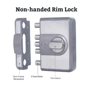 CINCOCBD500 MG TT 04 1100x