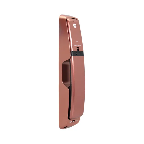 YMI70 BRONZE 08