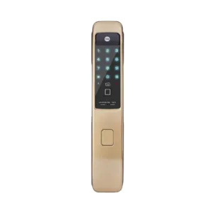 Push Pull Smart Lock, Red Gold (Bluetooth Module and Wifi Bridge Included)