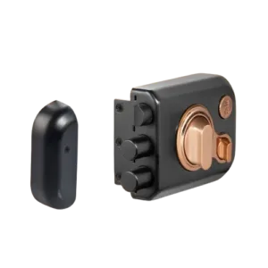 4 KRT LB TT BMRG 1 750x removebg preview