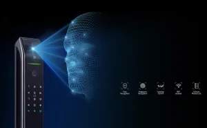biometric vs password door lock